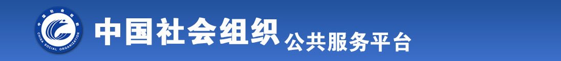 刺激日美女大BB全国社会组织信息查询